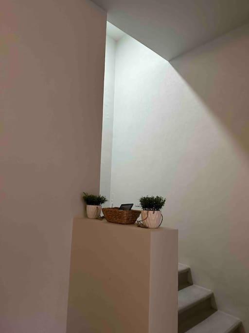 Casa Privada En Villa Bricia Cuernavaca Zewnętrze zdjęcie